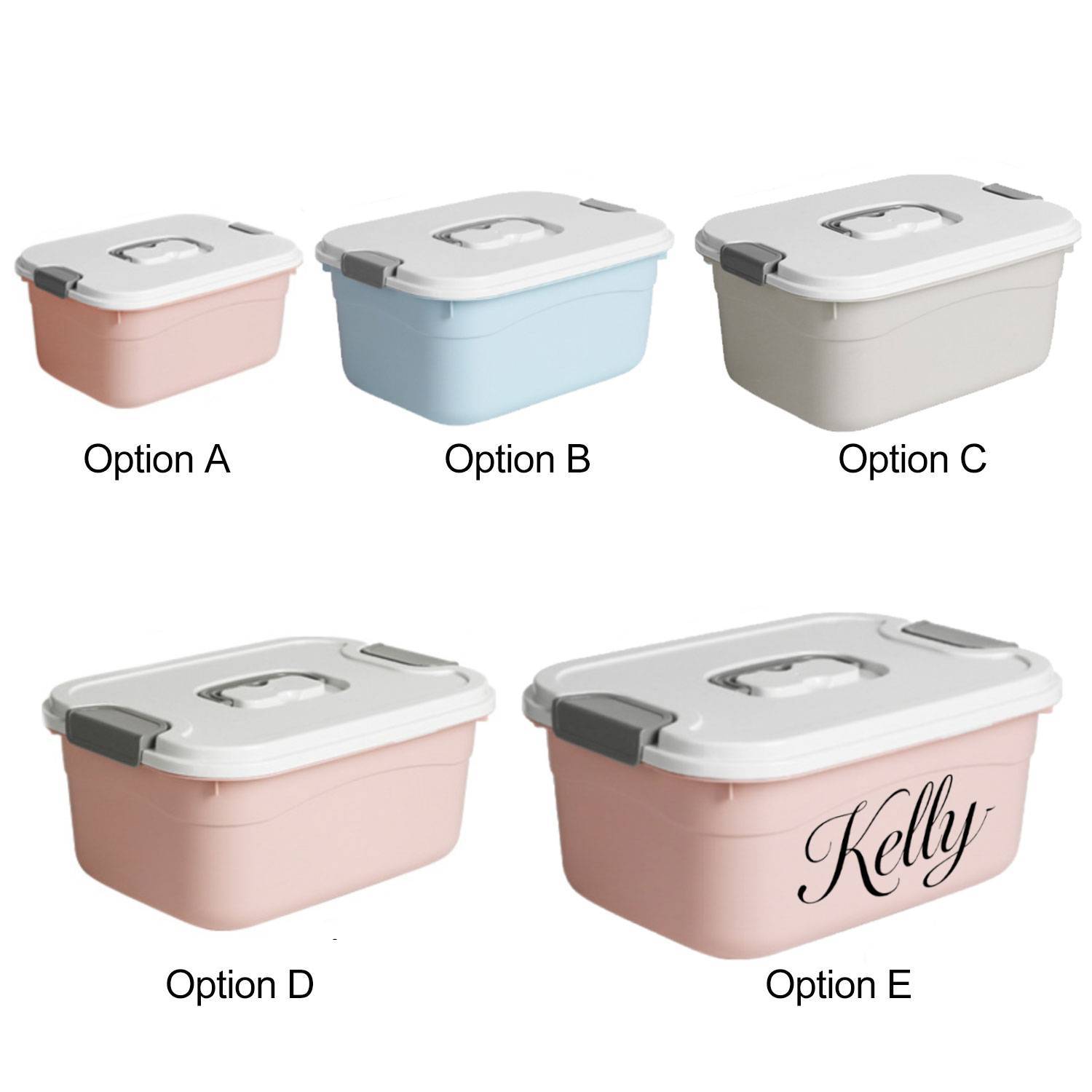 Plastic Storage Organizer Box w/ Handle 8