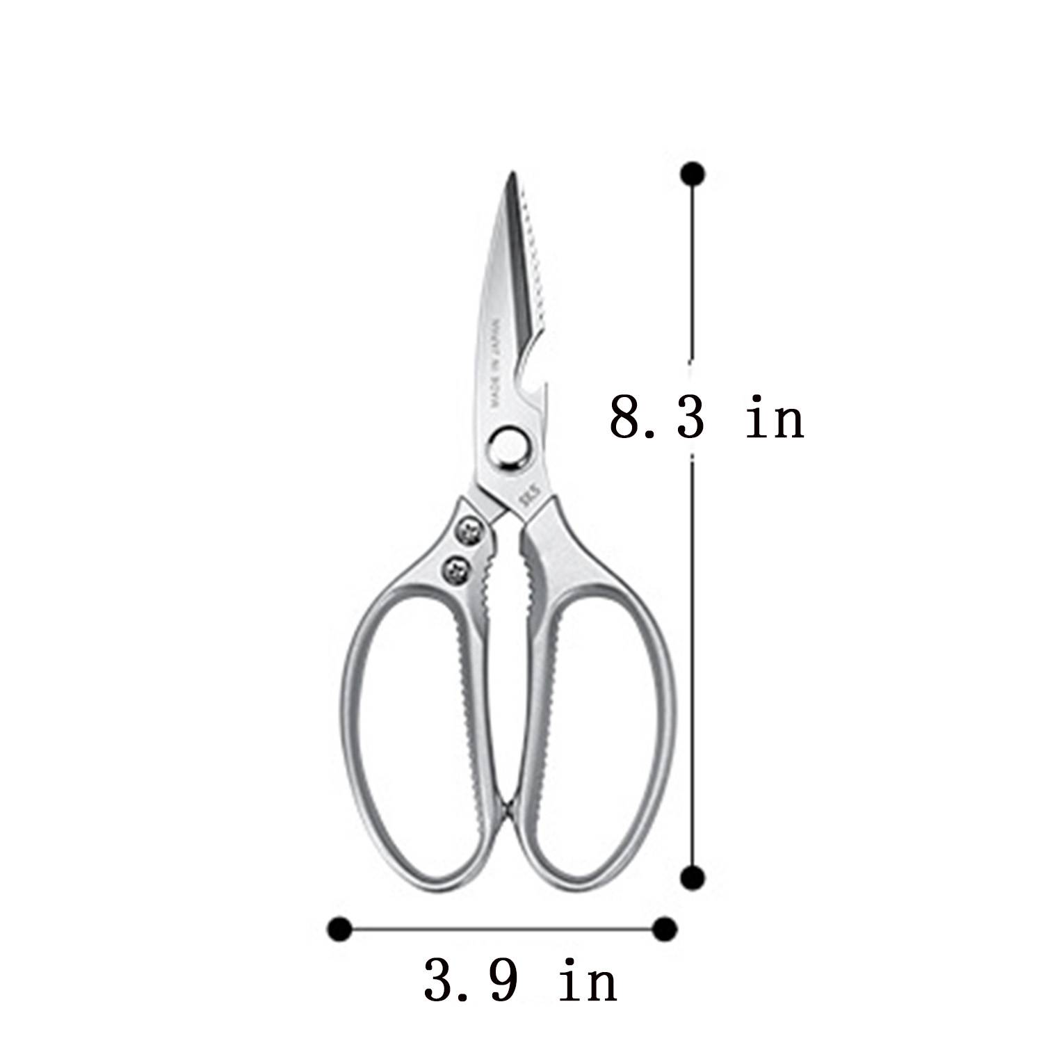 Stainless Steel Scissor 3