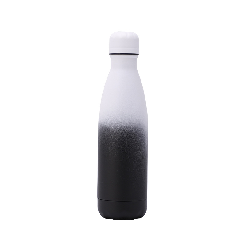 Gradients 17 oz Double Wall Stainless Steel bottle with Sponge Brush 9