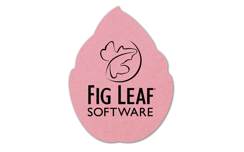 Leaf Compressed Sponge 4