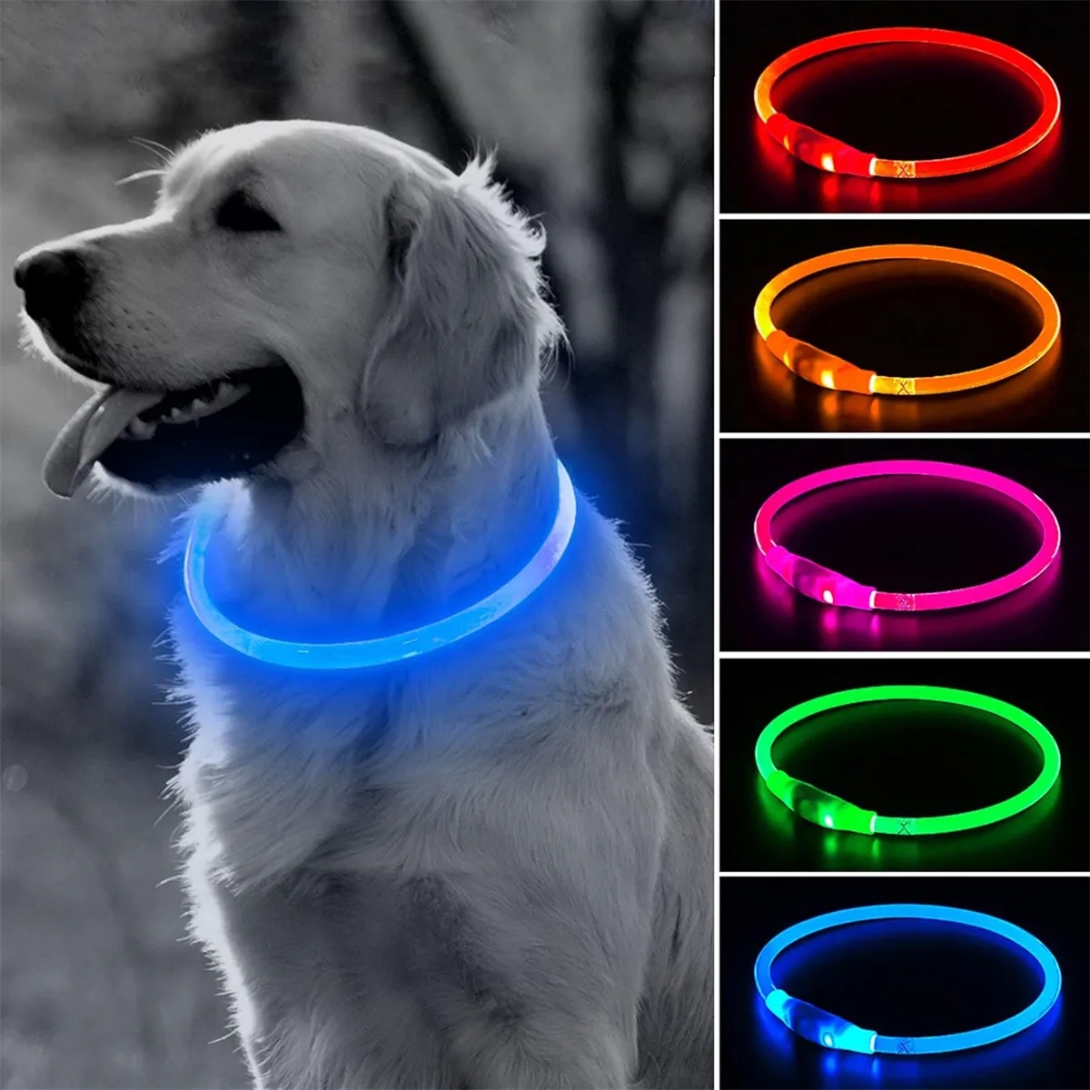 Brightest Light Up Dog Collars LED USB Rechargeable 5