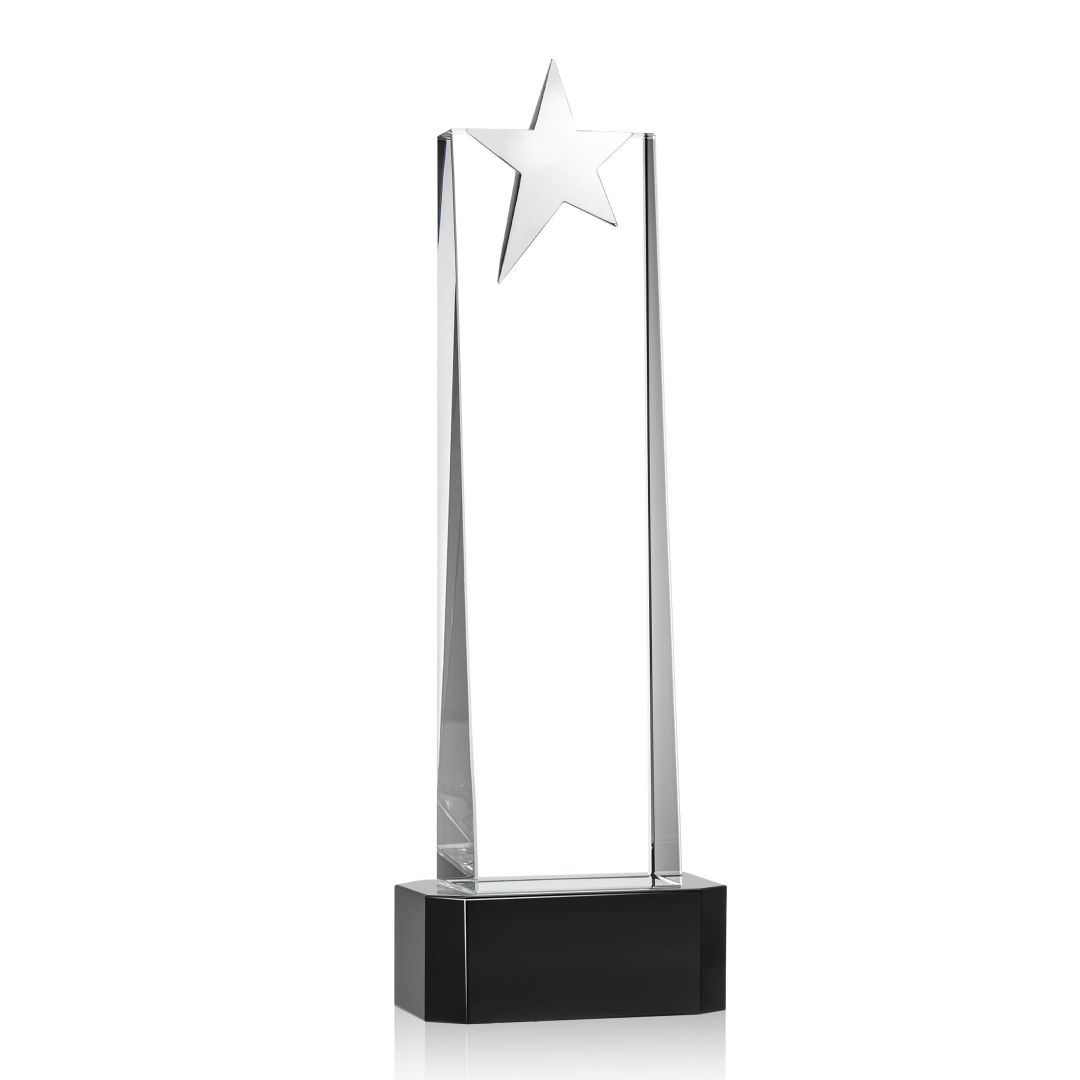 Fanshaw Silver Star Award on Base - Black 3