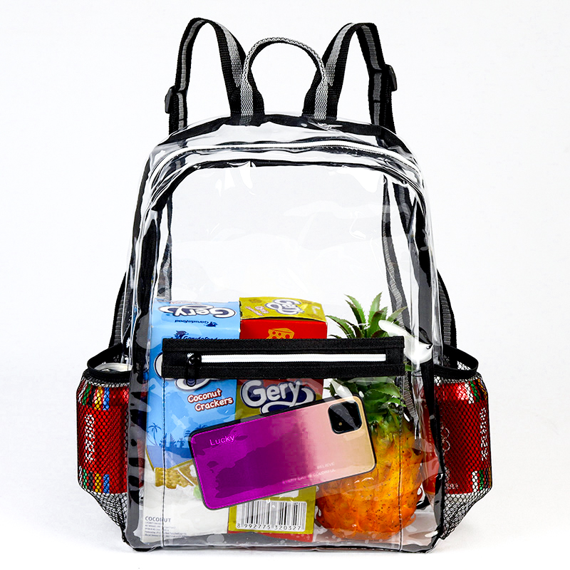 Eco Friendly Clear Backpack 1