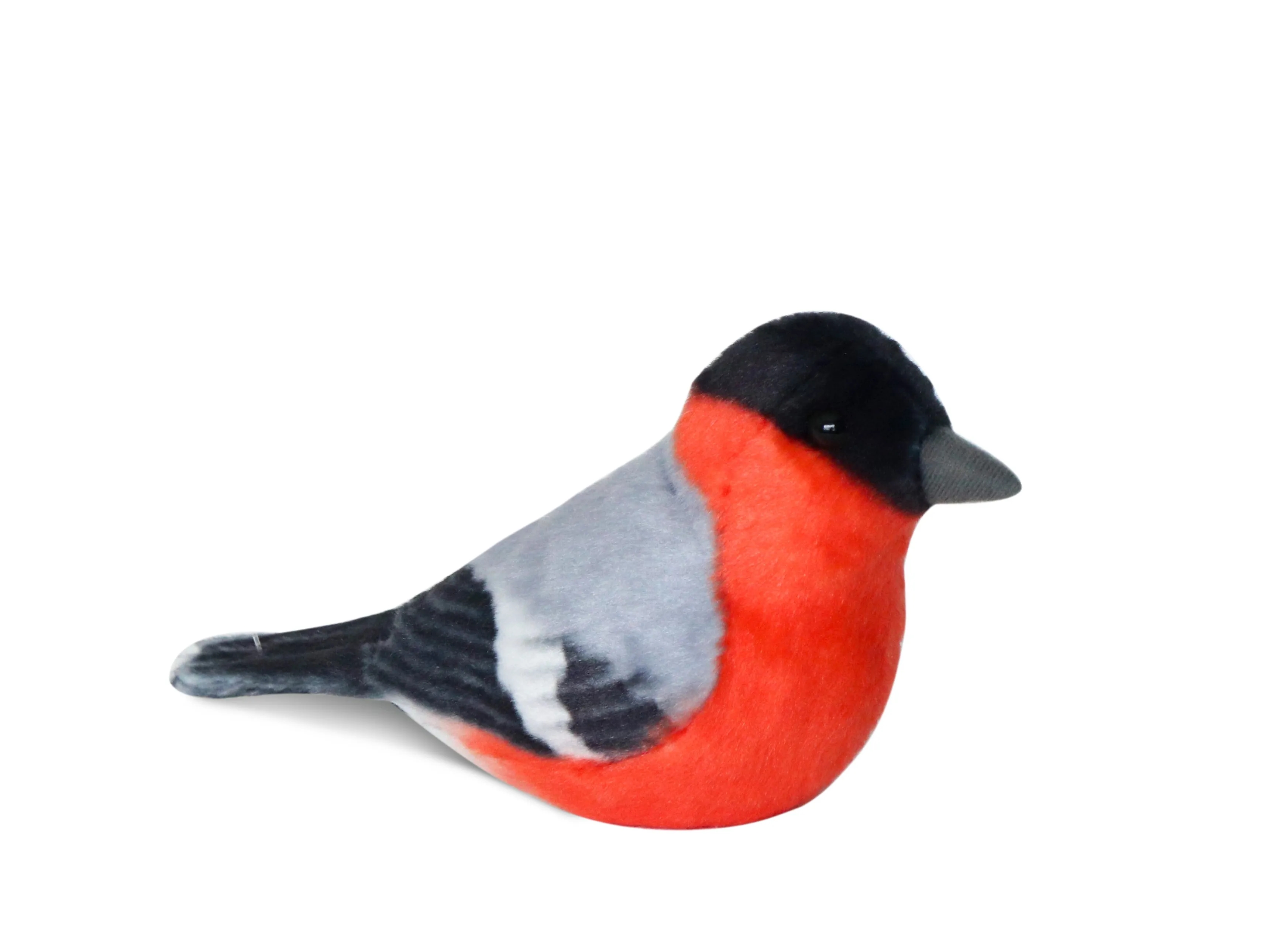 Parus Birds 5