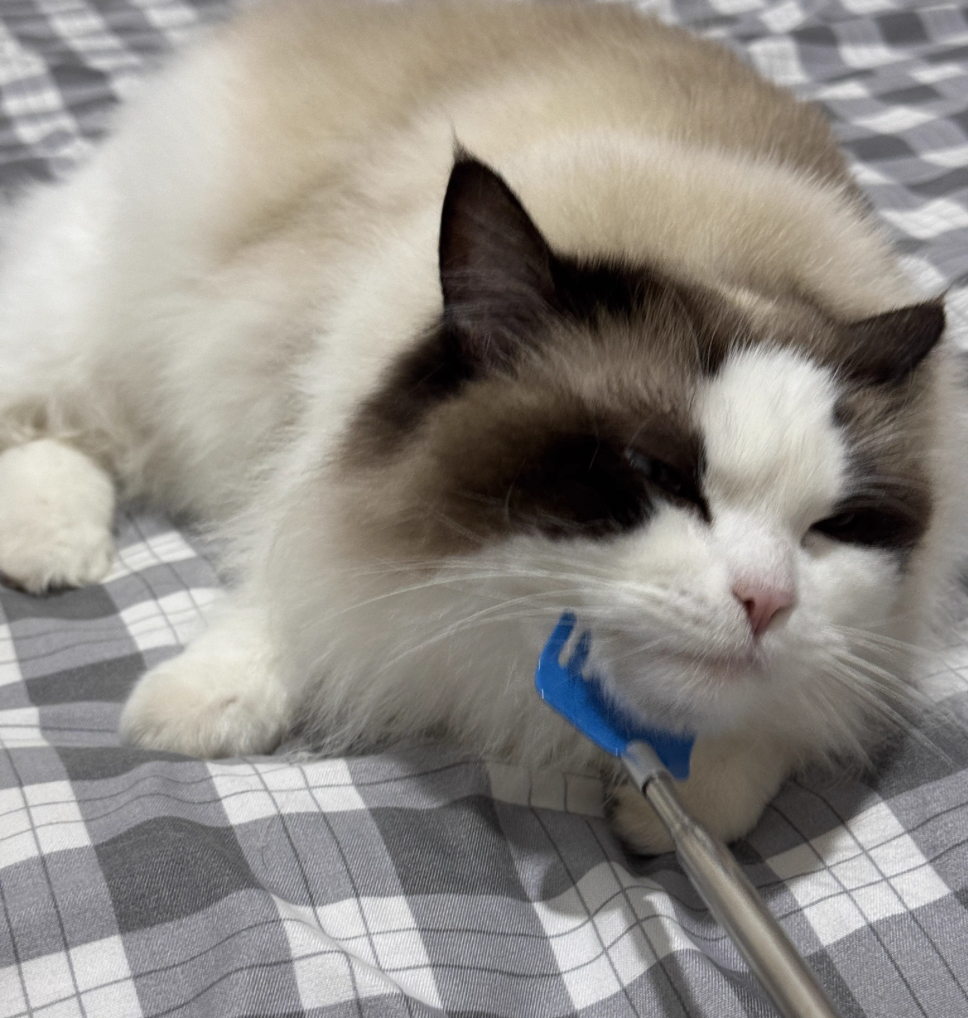 Extendable Metal Back Scratcher 3