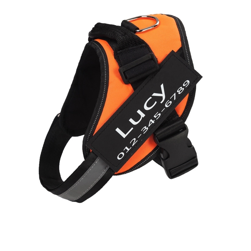 Dog Harness 3