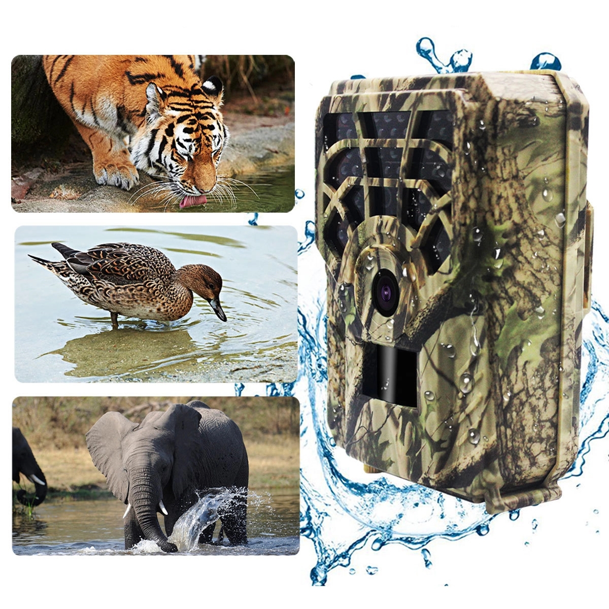 Trail Game Camera 5MP 720P 2