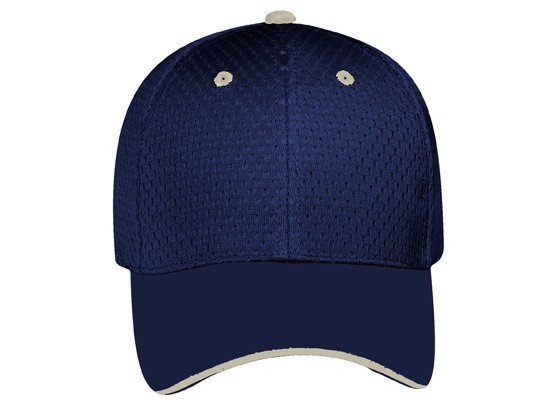 OTTO CAP® 6 Panel Low Profile Baseball Cap 51