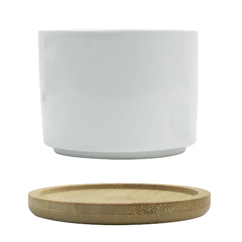 Ceramic Plant Pots 3