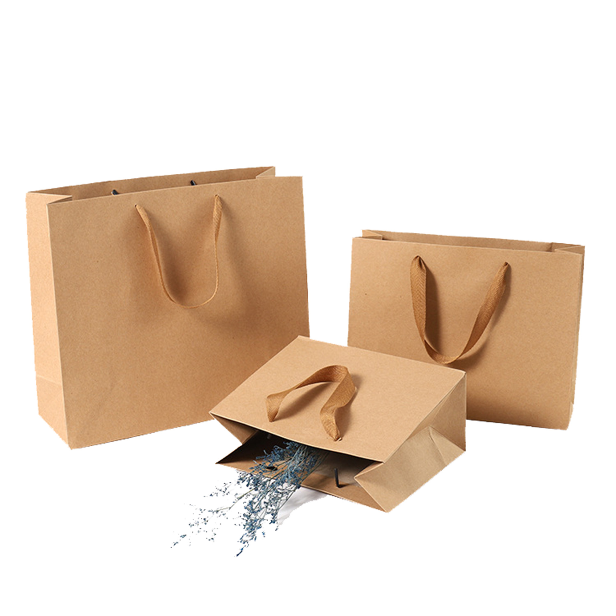 MOQ100 Kraft Paper Gift Bag 2