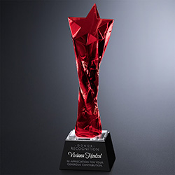 Twisted Star Award 2