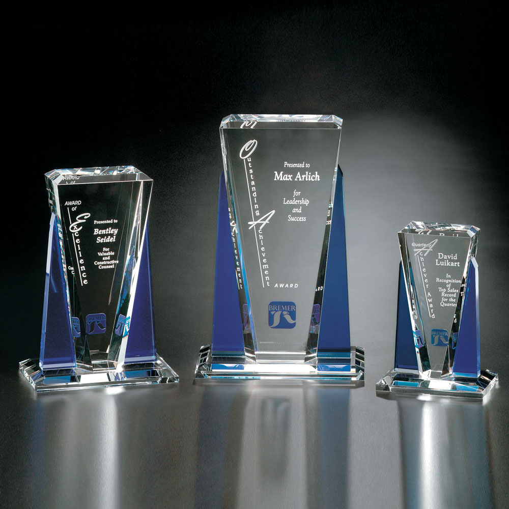 Sentinel Award 6