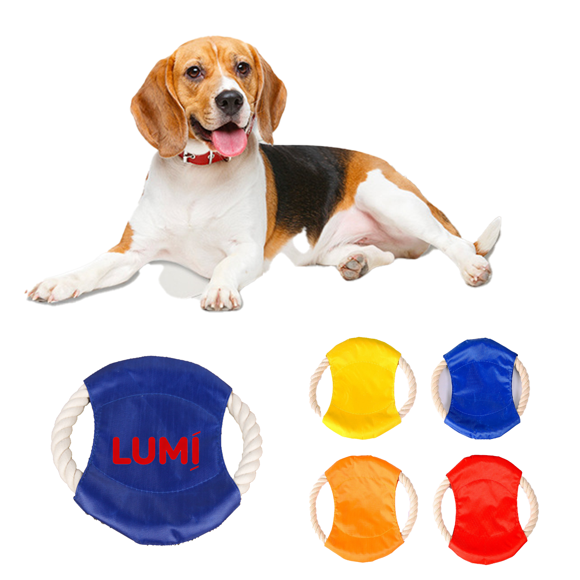 Pet Training Flying Disk 3