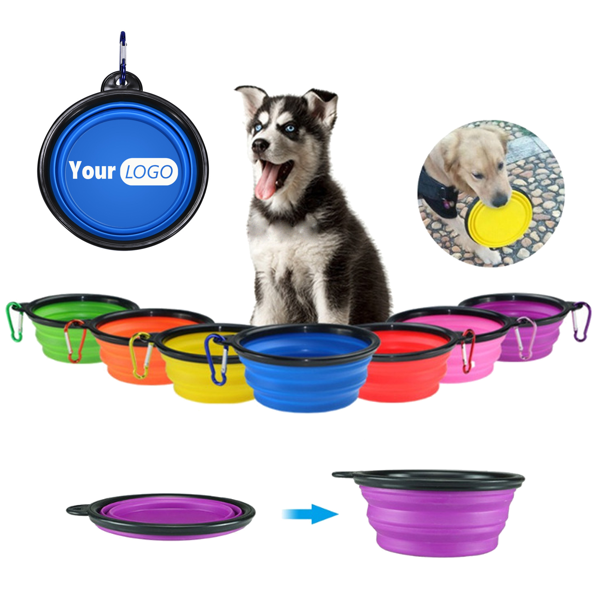12 OZ Collapsible Pet Dog Bowl with Carabiner 2