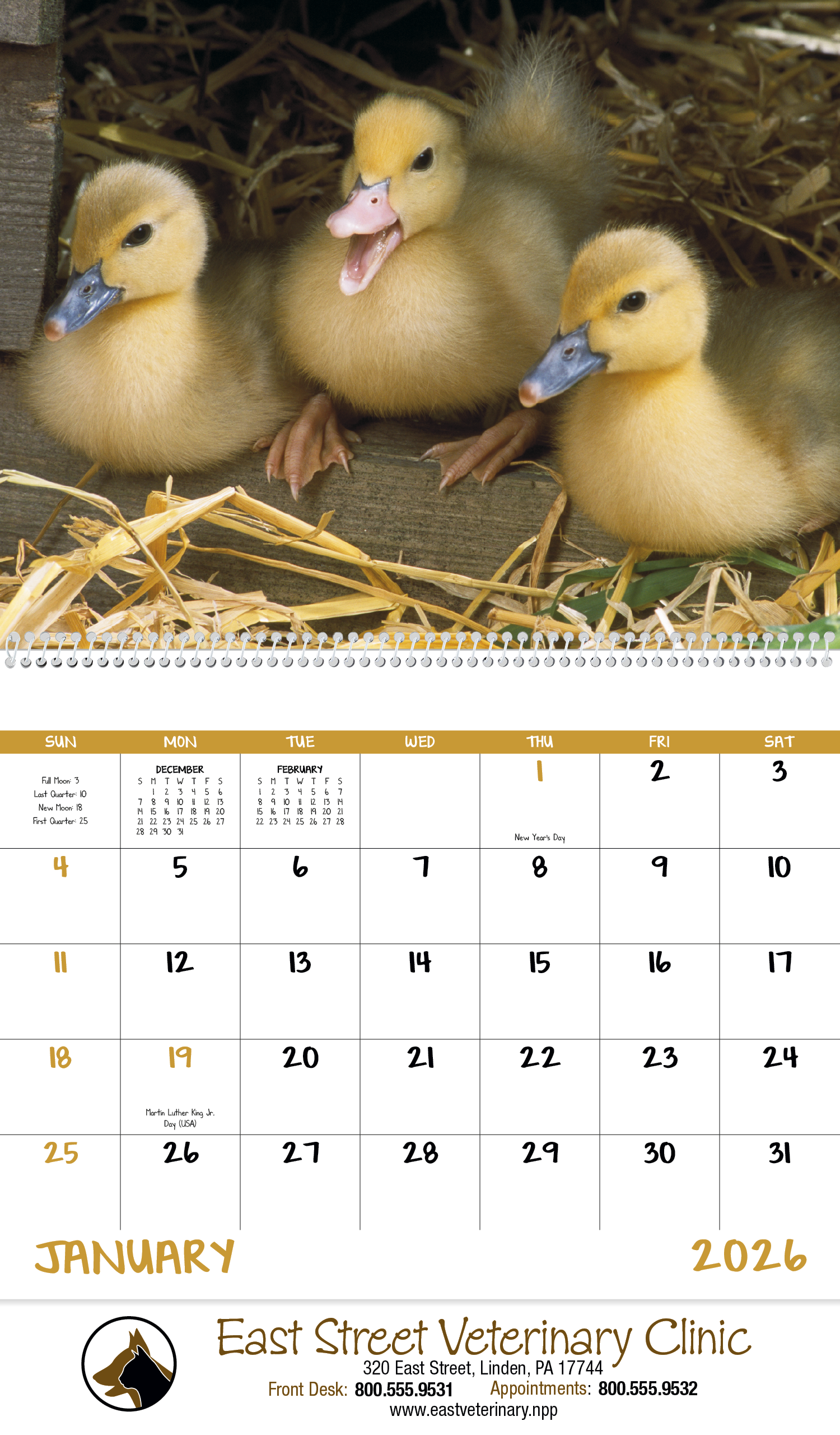 Good Value™ Baby Farm Animals - Spiral Calendar 9