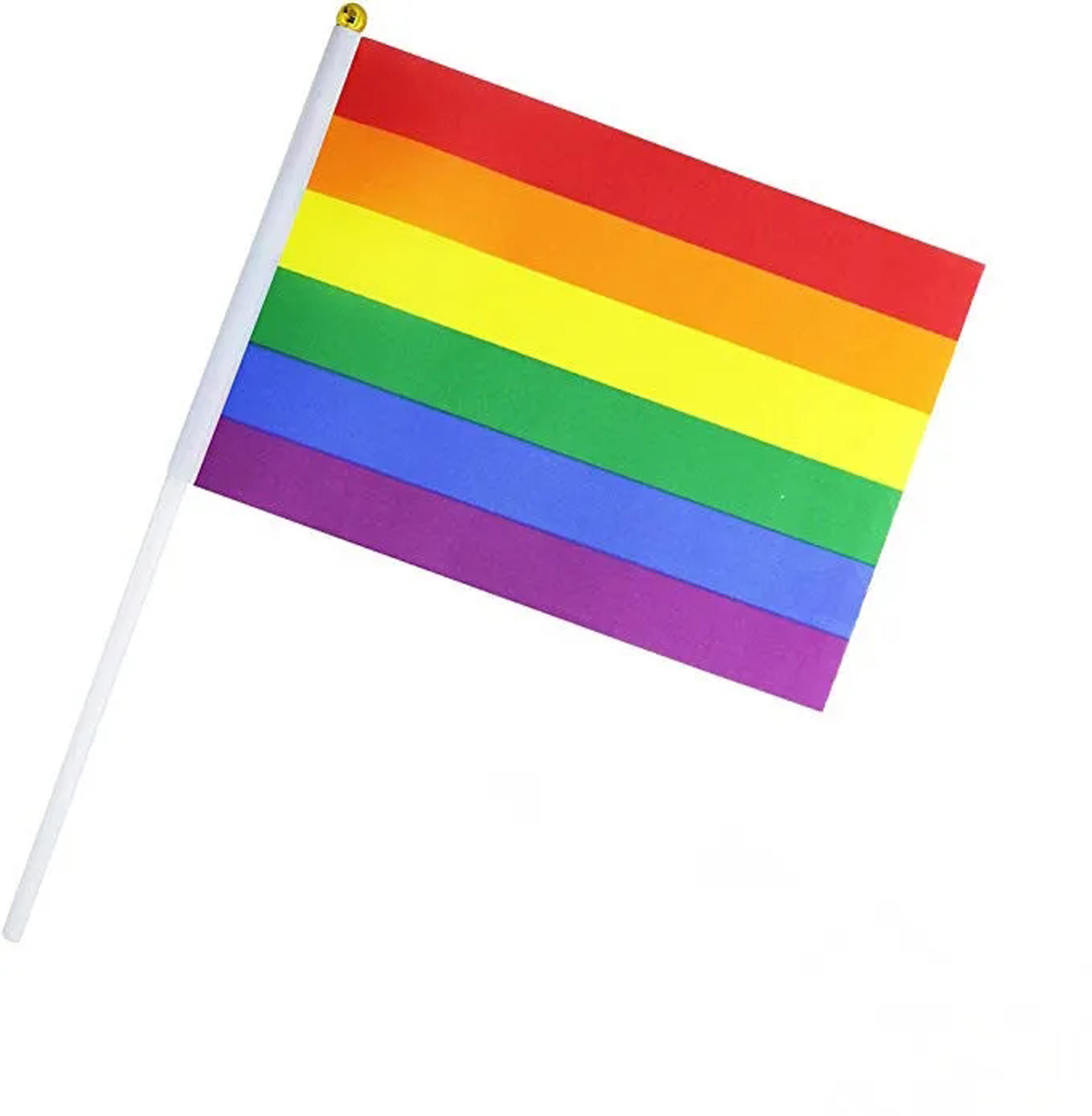Lightweight Mini Flag for Rallies and Celebrations 3