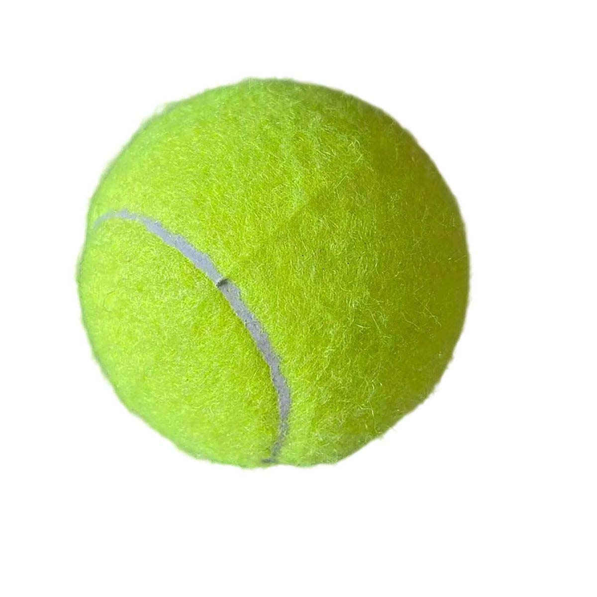 2.5 Inch Rubber Dog Ball for Training and Fetch 10