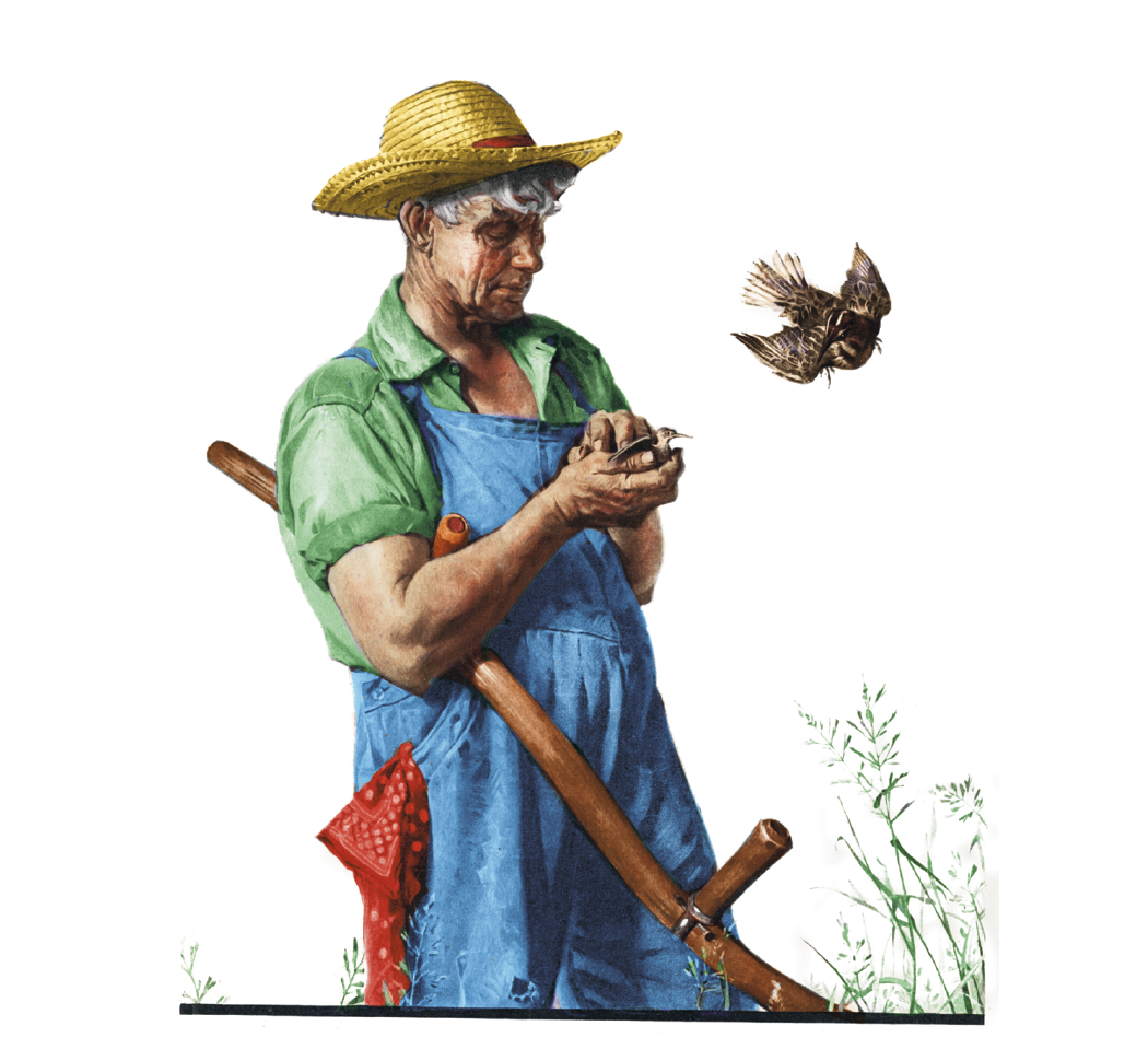 HotLine® Products Norman Rockwell Mini Calendar 49