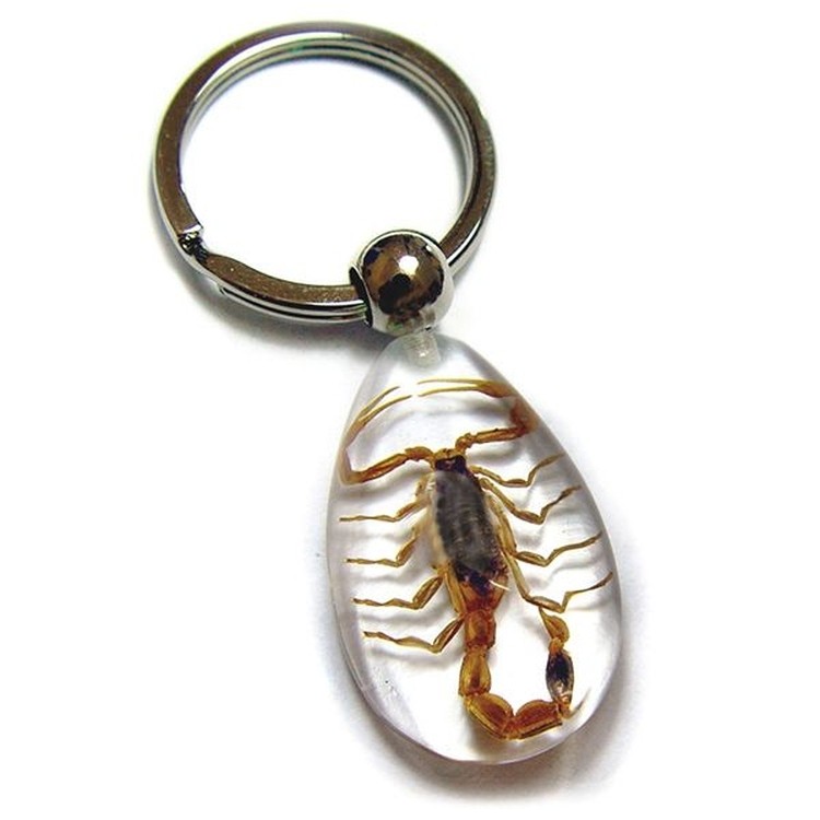 Amber Insect Keychain-Scorpion 1