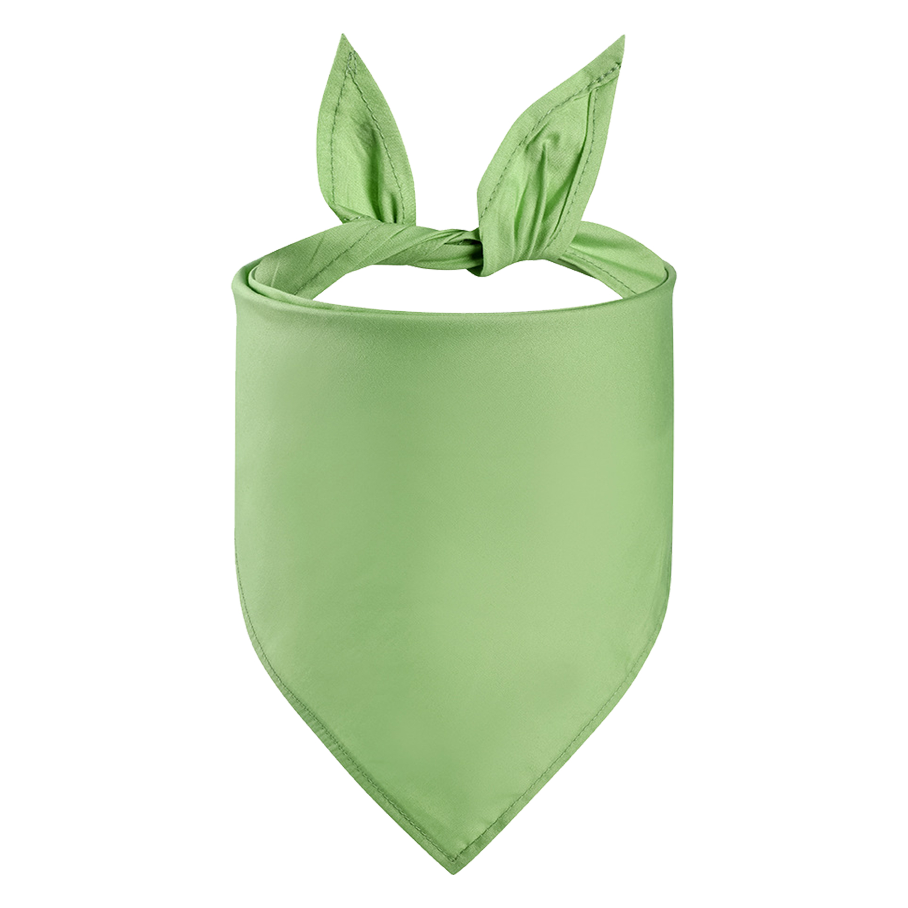 Pet Bandanna 5