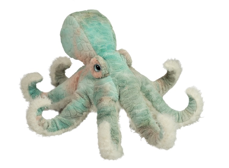 Winona Octopus 2