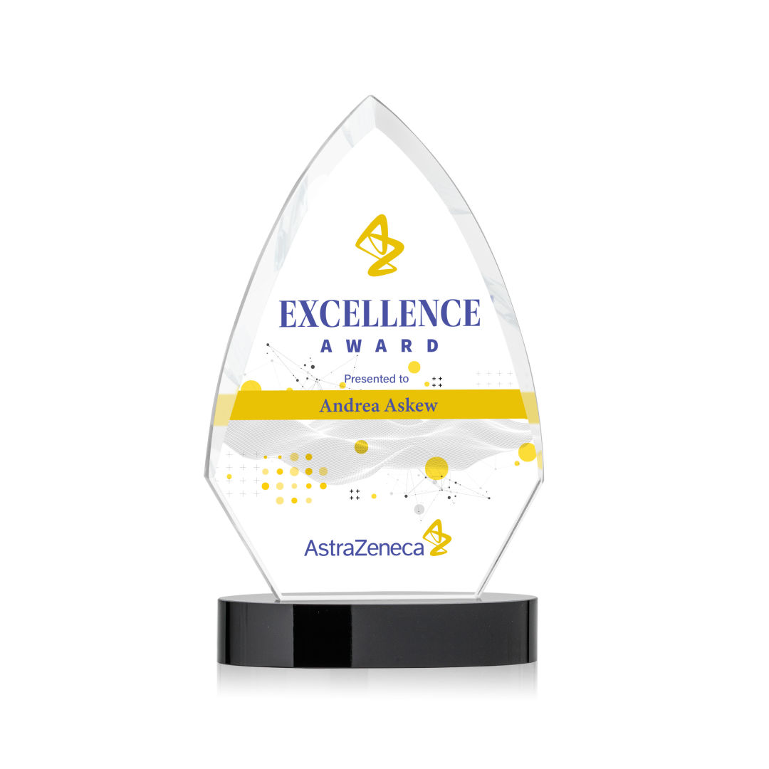 Idaho VividPrint™ Award - Black 2