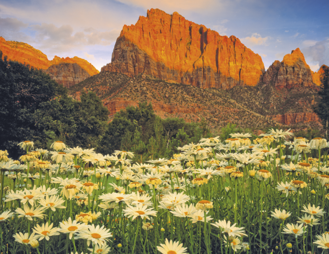 Triumph® Calendars Beautiful America Calendar 18