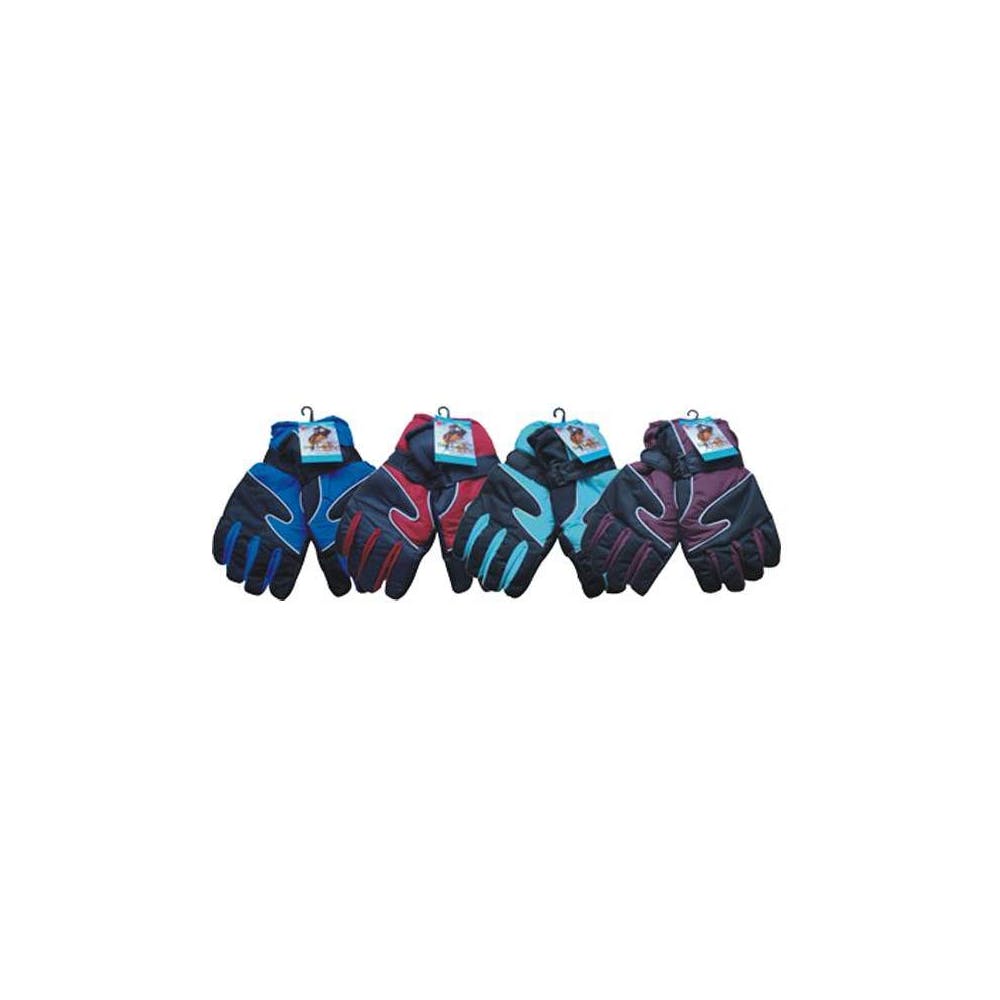 Adult Ski Gloves Assorted 2