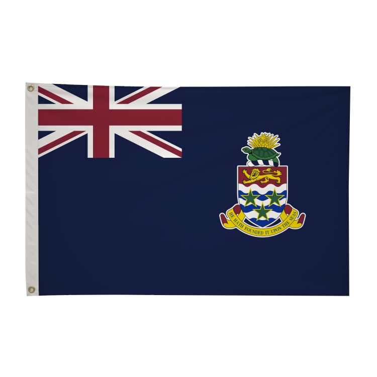 2' x 3'International Flag 302