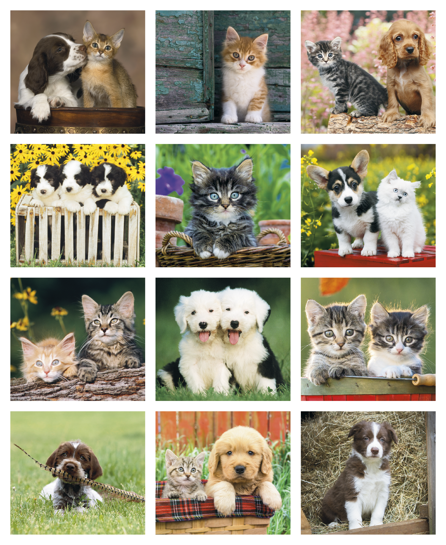 Good Value™ Puppies & Kittens - Mini Calendar 39