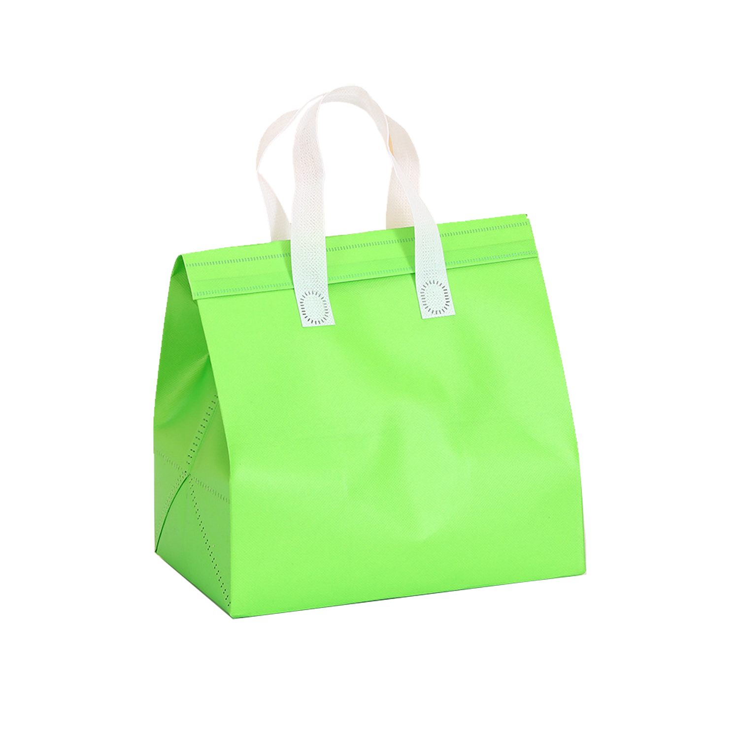 Disposable Insulated Bag 7