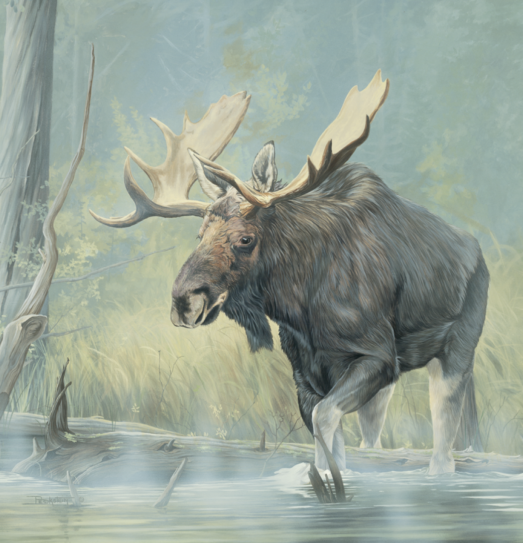 Triumph® Calendars Wildlife Art Calendar 60