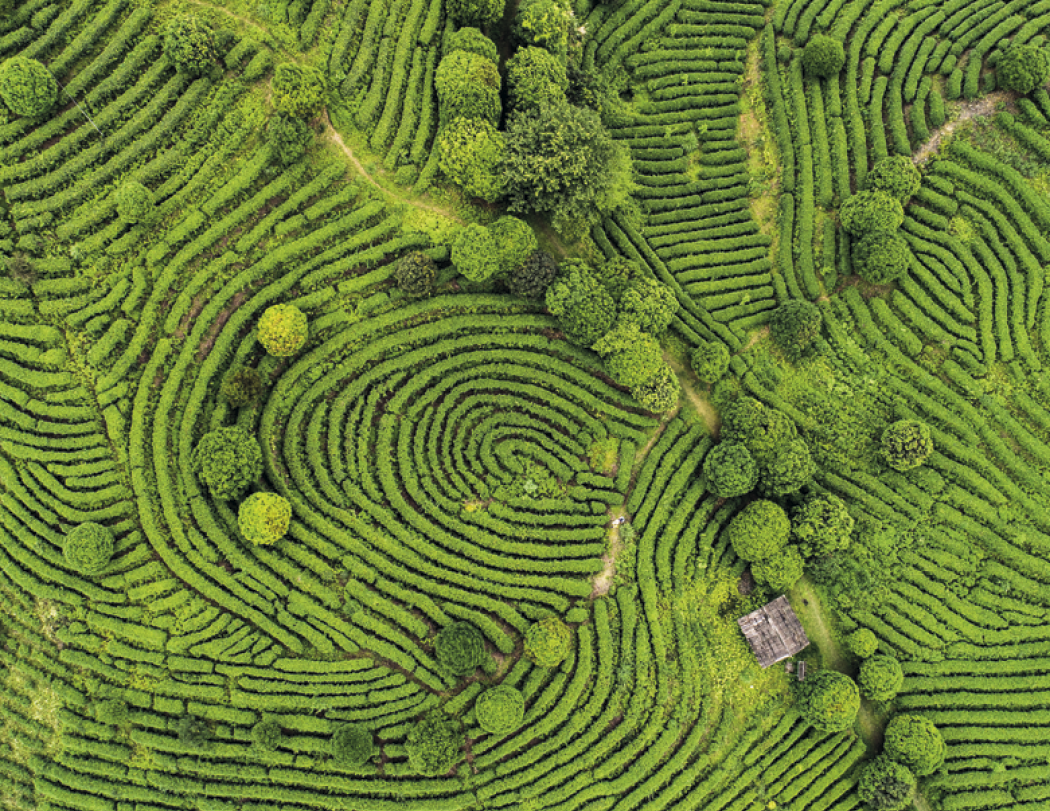 Good Value™ View from Above - Spiral Calendar 26