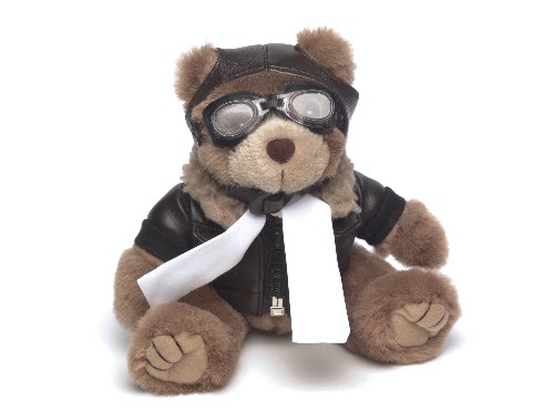 8" Brown Aviator Bear 2
