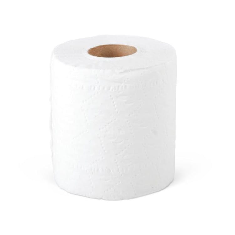 Toilet Paper Rolls - 2 Ply 500 Sheets 2
