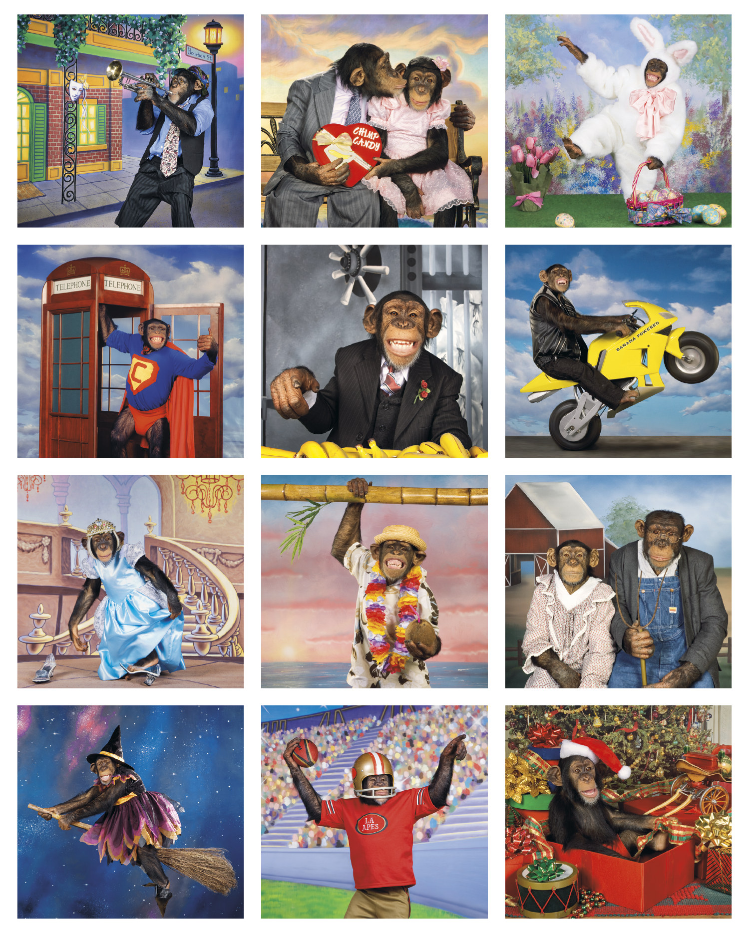 Triumph® Calendars Monkey Business Calendar 31
