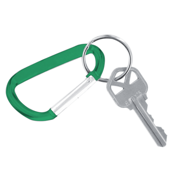 Carabiner Keychain 2