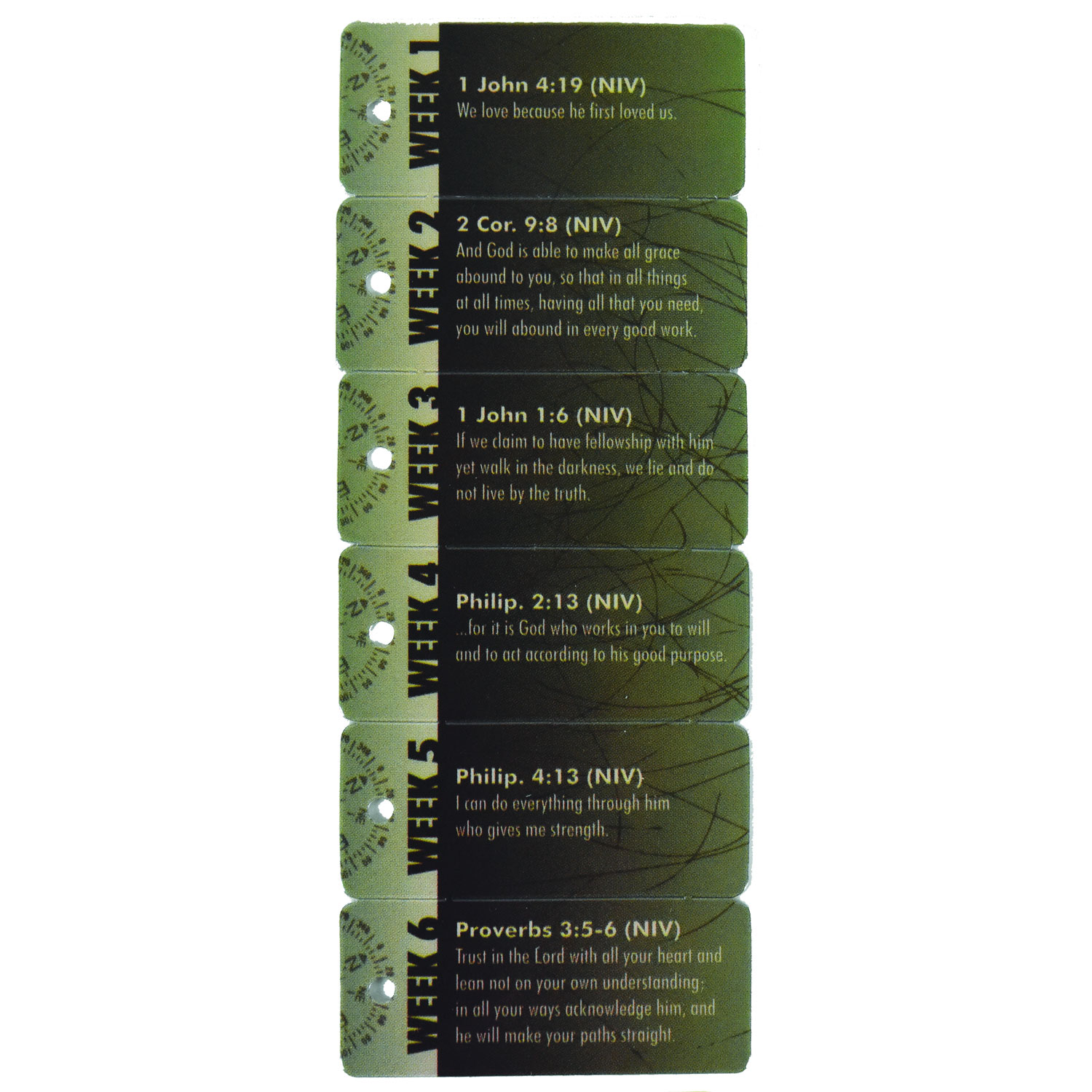 1 1/8"W x 2 5/8"H Set of 6 Key Tags