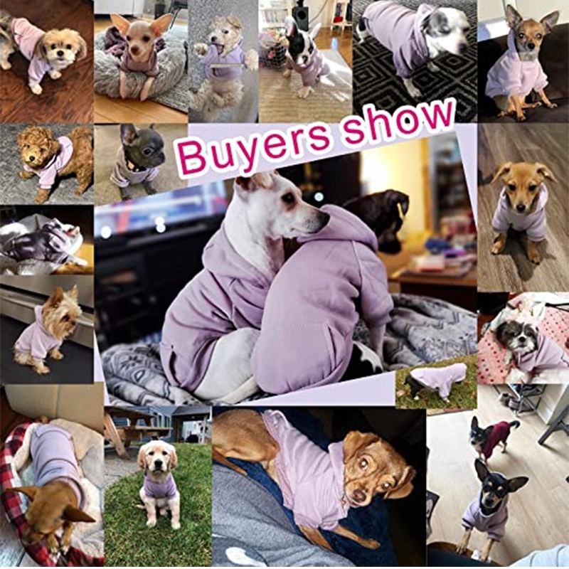 Letters Winter Pet Dog Hoodies Cotton Warm Clothes 6