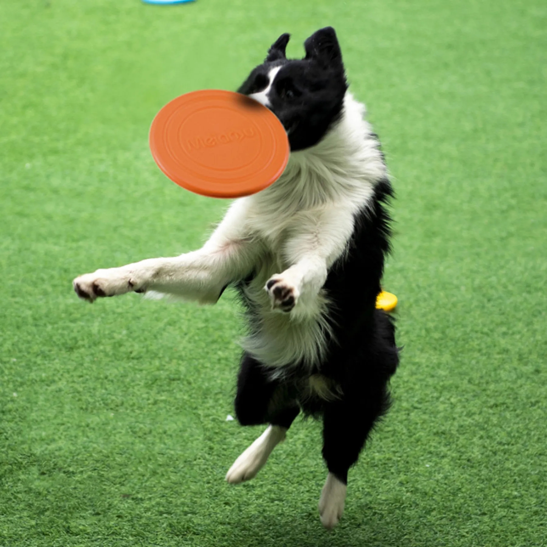 Lightweight Dog Flying Disc Toy MOQ50 13
