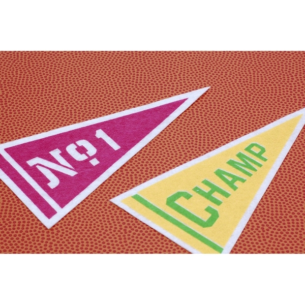 9" x 24" Acrylic Felt Pennant with Wood Pole - Class D 1