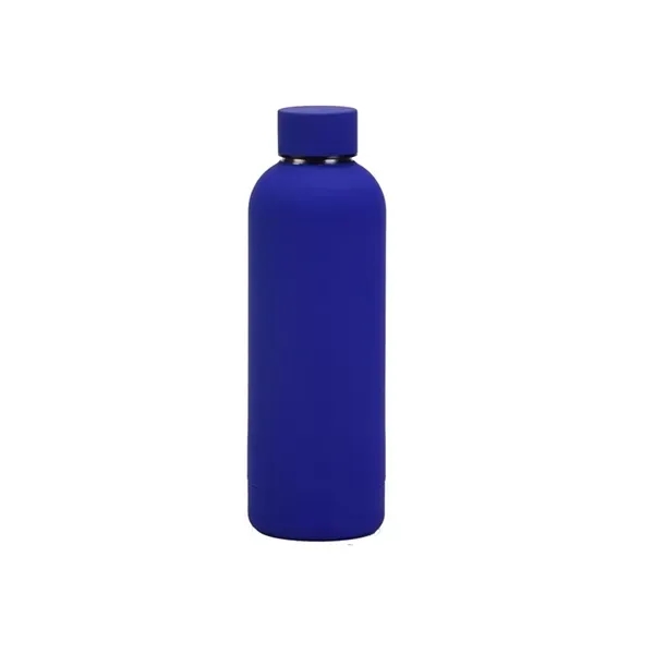 Stainless Steel Water Bottle 16 oz Capacity 7