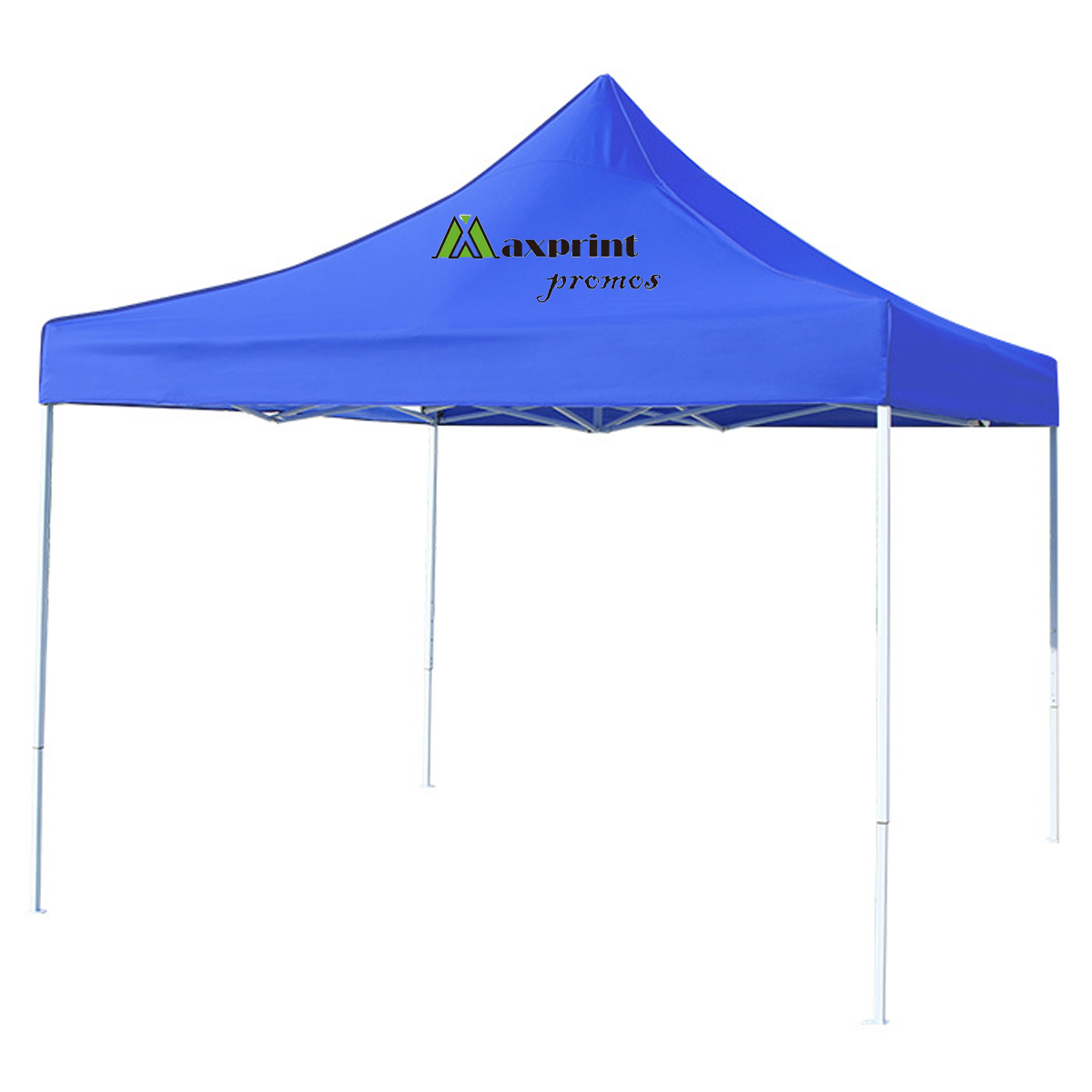 Portable Canopy Tent 10' 2