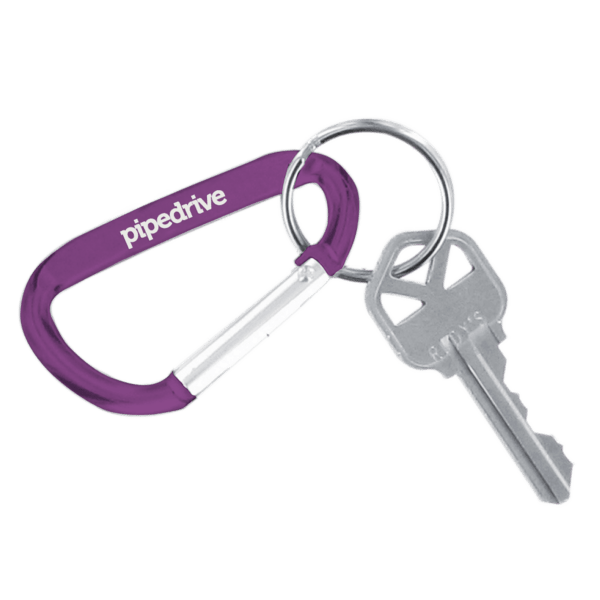 Carabiner Keychain 9