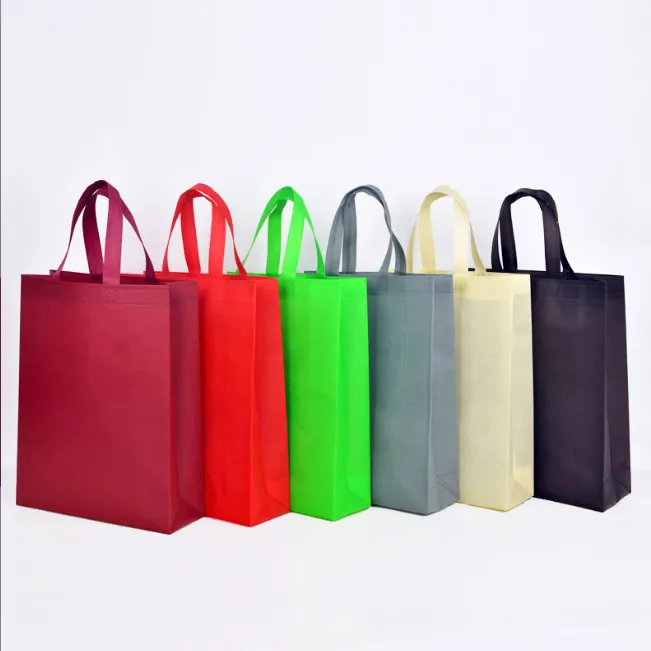 80 gsm Non-Woven Bag/Shopping Bag 2