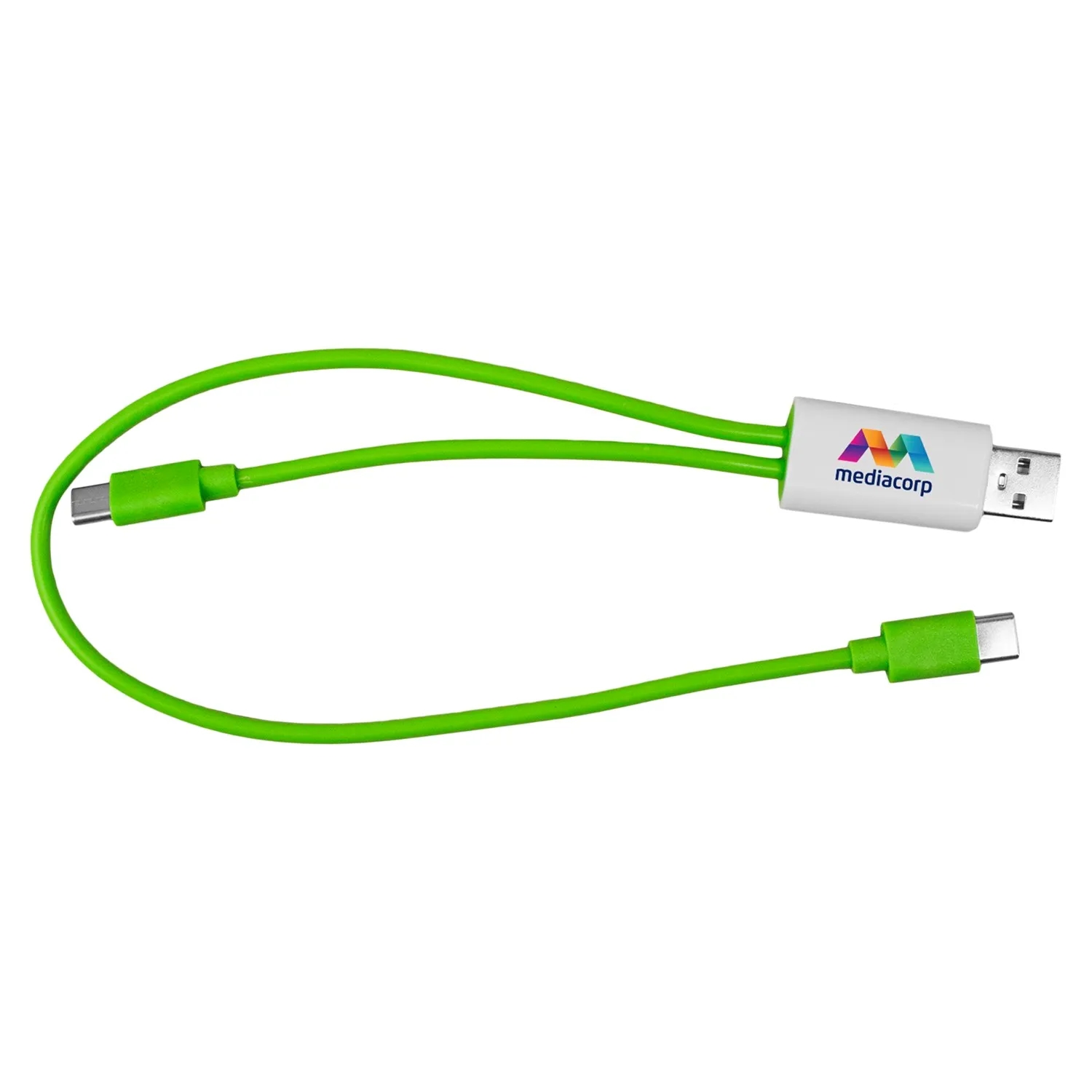 Dual Input A + C to C Accent Cable 19