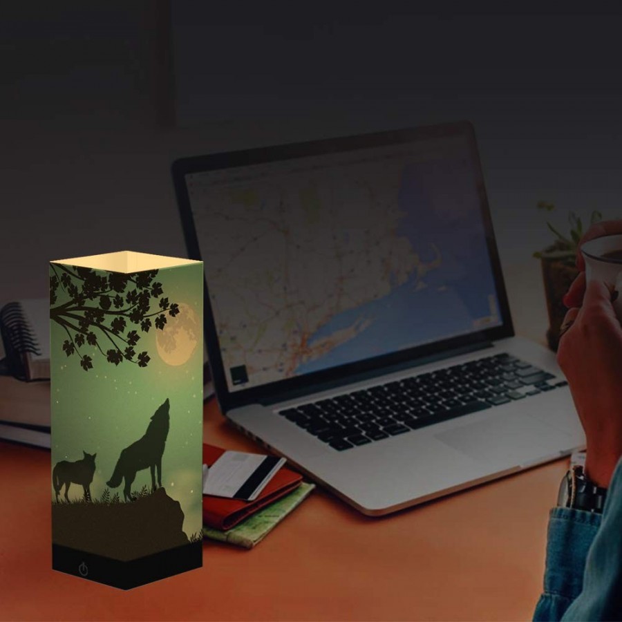 Night Light Lamp with Custom Full Color Paper Cover 3