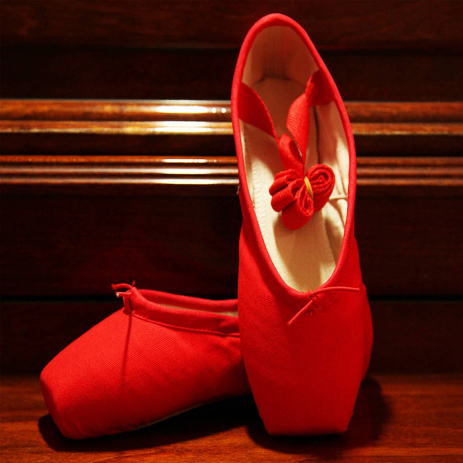 Toe Strap Ballet Shoes 2