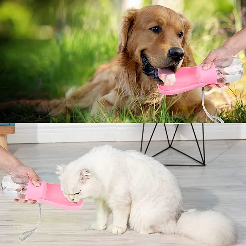 10Oz Folding Dog Water Bottle 4