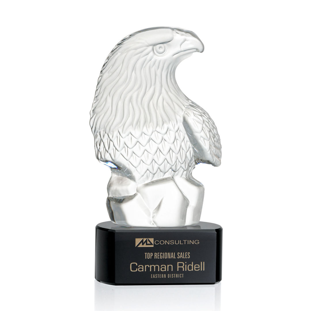 Fredricton Eagle Award on Paragon 2